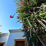 Hotel Tropicana 3*