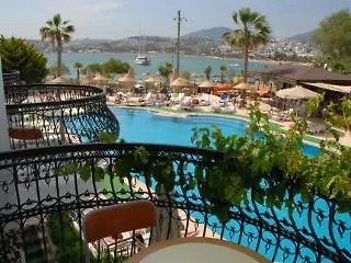 Отель Tropicana 3*