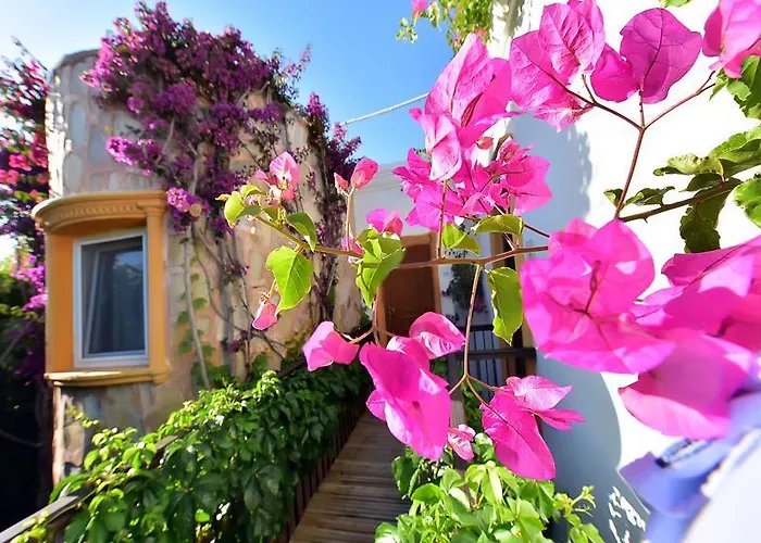 Отель Tropicana 3*