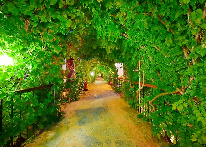 Tropicana Отель Гумбет