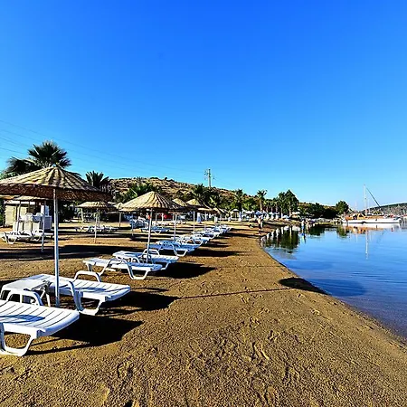 Tropicana 3* Gümbet