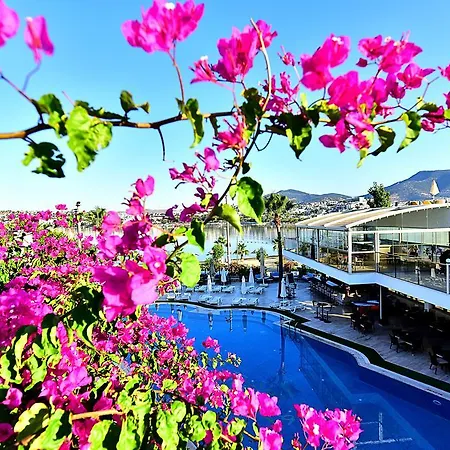 Hotel Tropicana 3*