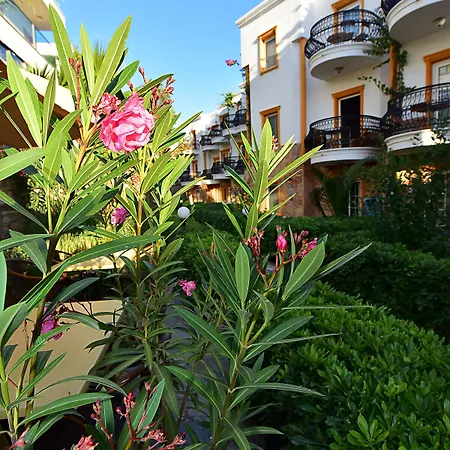 Hotel Tropicana 3*
