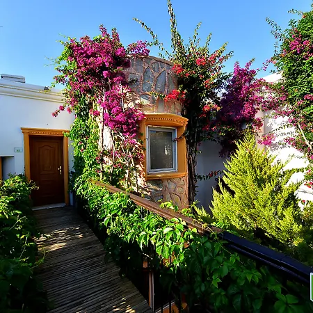 Hotel Tropicana Gümbet