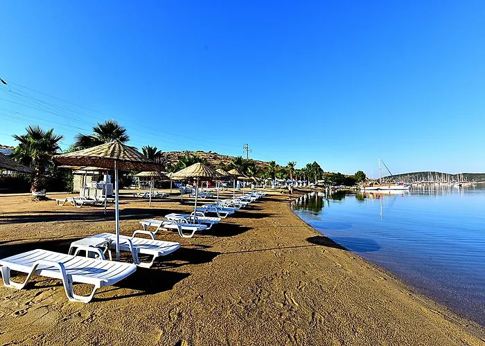 Tropicana 3* Gümbet