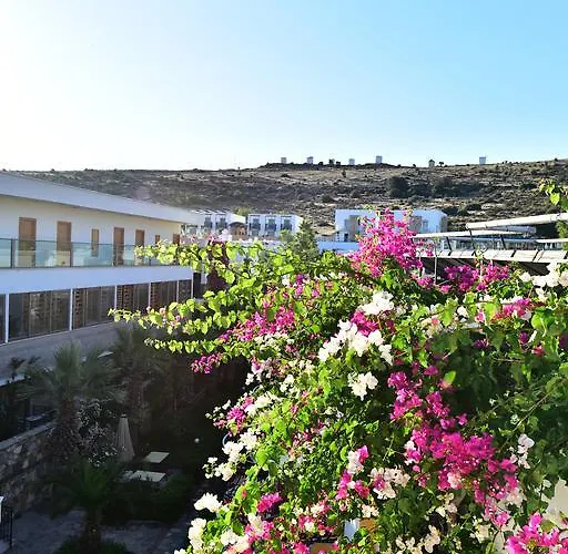 Tropicana 3* Gümbet